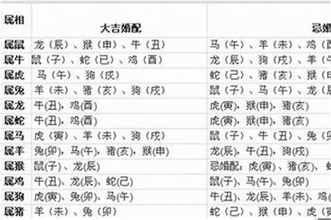 老虎六合生肖|属虎和什么属相相冲 生肖虎和什么属相不合